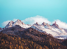 KaiyunSports的城市跑步哲学：从初心到全球社区