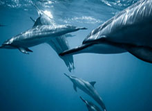 乐竞体育官网：开启体育热爱的安全公正线上体验