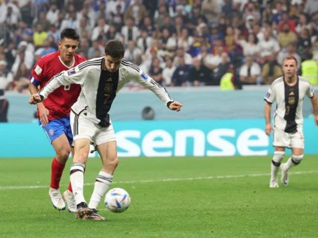 1669933865552068640.jpg A86892D6-E191-4AD1-A860-489831F9.jpg